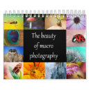 Search for macro photography Colourful