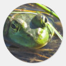 Search for no bull stickers For kids