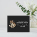 Search for loss of cat cards Memorial