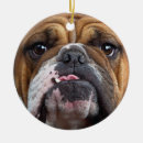 Search for english bulldog christmas tree decorations Dog lover