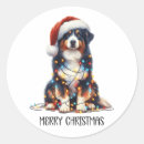 Search for cute australian shepherd dog stickers Puppy