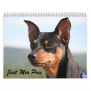 Search for hound dog calendars Canine