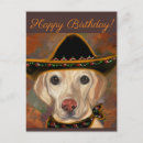 Search for yellow lab birthday cards Labs