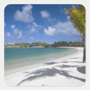 Search for mauritius stickers Palm tree