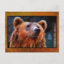 Search for bears postcards Animal