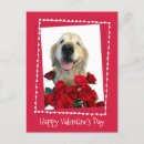Search for winking postcards Dog