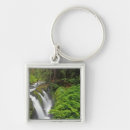 Search for lush key rings Usa
