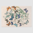 Search for vintage botanical tissue paper Butterflies