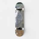 Search for dust skateboards Curve