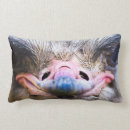 Search for emu home decor Humour