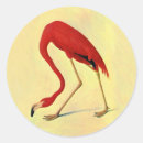 Search for audubon stickers Vintage