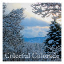 Search for pine trees posters Snowy mountains