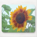 Search for sunshine flower mousepads Green