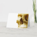 Search for side view cards Horizontal