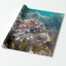 Search for sea creature wrapping paper Coral reef