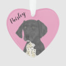 Search for pointer dog christmas tree decorations German shorthaired pointer