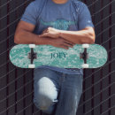 Search for paint skateboards White