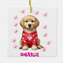 Search for elegant pet memorial christmas tree decorations Remembrance memento keepsake