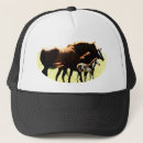 Search for foal hats Colt