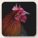 Search for head shot Feather