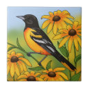 Search for oriole tiles Wildlife