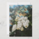 Search for lilac flowers cards Thinking of you