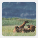 Search for sow stickers Alaska