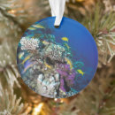 Search for coral reef christmas tree decorations Wildlife