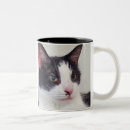 Search for and a good book mugs Cat