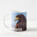 Search for harris hawk mugs Bird