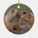 Search for prairie dog christmas tree decorations Cute