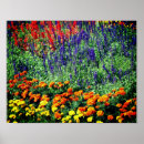 Search for marigold posters Summer