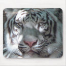 Search for bengal electronics Big cats