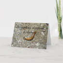 Search for slug Animals