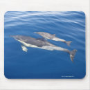 Search for wild creatures mousepads Swimming