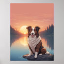 Search for border collie posters Pets