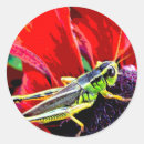 Search for grasshopper stickers Animal