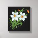 Search for daffodil canvas prints White