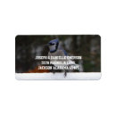 Search for blue jay labels Animals