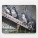 Search for penguin mousepads Photography
