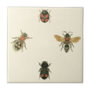 Search for border tiles Insects