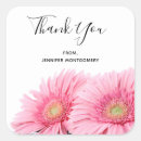 Search for pink gerbera stickers Daisies