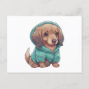 Search for sweater postcards Pet
