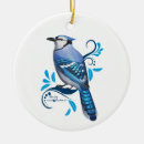 Search for blue jay christmas tree decorations Bluejays