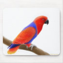 Search for aviary electronics Avian