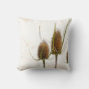 Search for thistle cushions Nature
