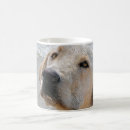 Search for mans best friend mugs Pooch