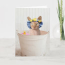 Search for sphynx cat cards Hairless