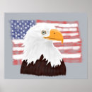 Search for bald headed eagle posters Raptor