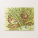 Search for duck puzzles Illustration
